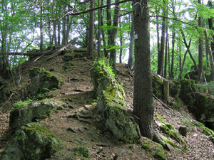 felsen-neukirchen.JPG
