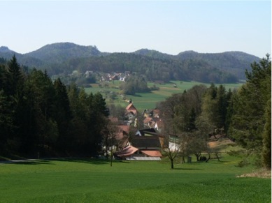 ZantvonHinten.jpg