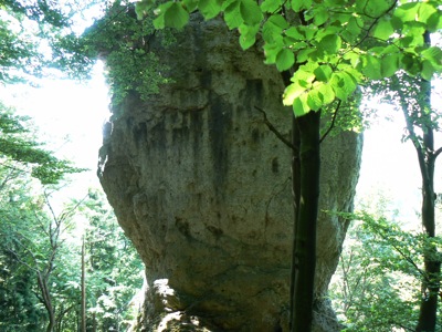 eierkopf.jpg