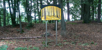 ausstellung-im-wald2.jpg