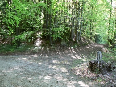 grosse-kreuzung.jpg
